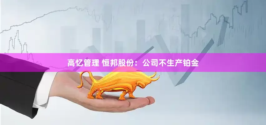 高忆管理 恒邦股份：公司不生产铂金