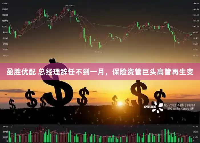 盈胜优配 总经理辞任不到一月，保险资管巨头高管再生变