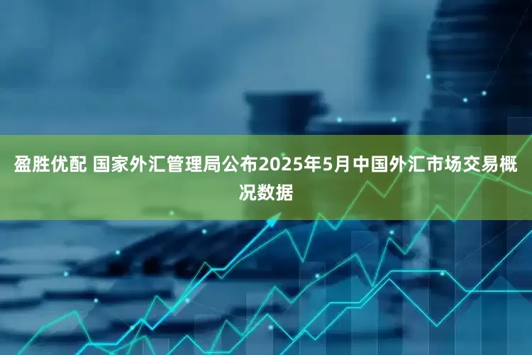 盈胜优配 国家外汇管理局公布2025年5月中国外汇市场交易概况数据