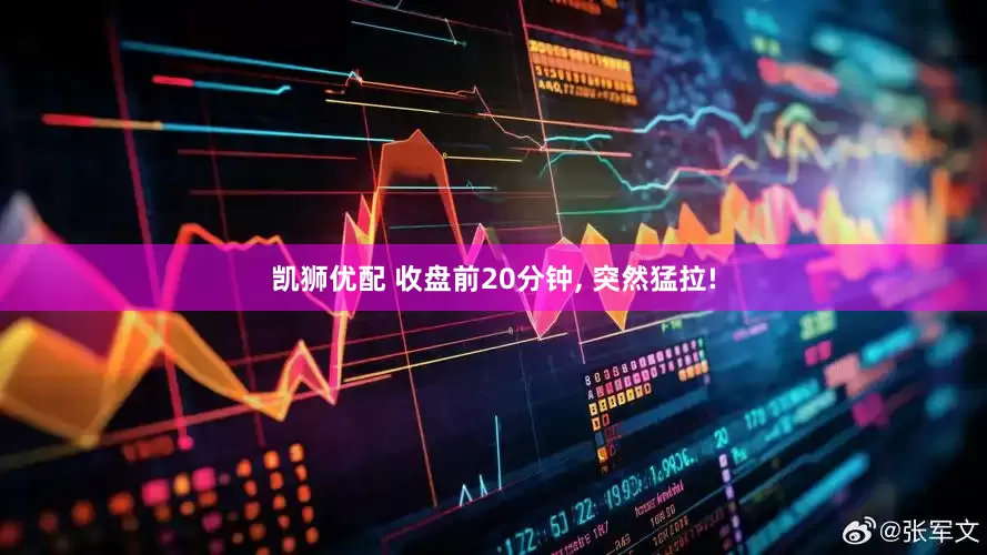 凯狮优配 收盘前20分钟, 突然猛拉!